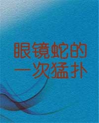 红楼之逆袭攻略最新章节