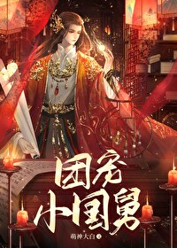 团宠小国舅txt宝书网
