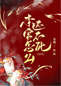 本宫不太好小说