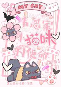 韦恩 猫女