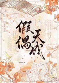 假偶天成番外