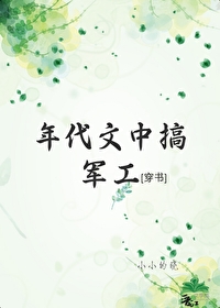 《年代文里搞建设》