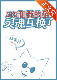 与猫互换灵魂