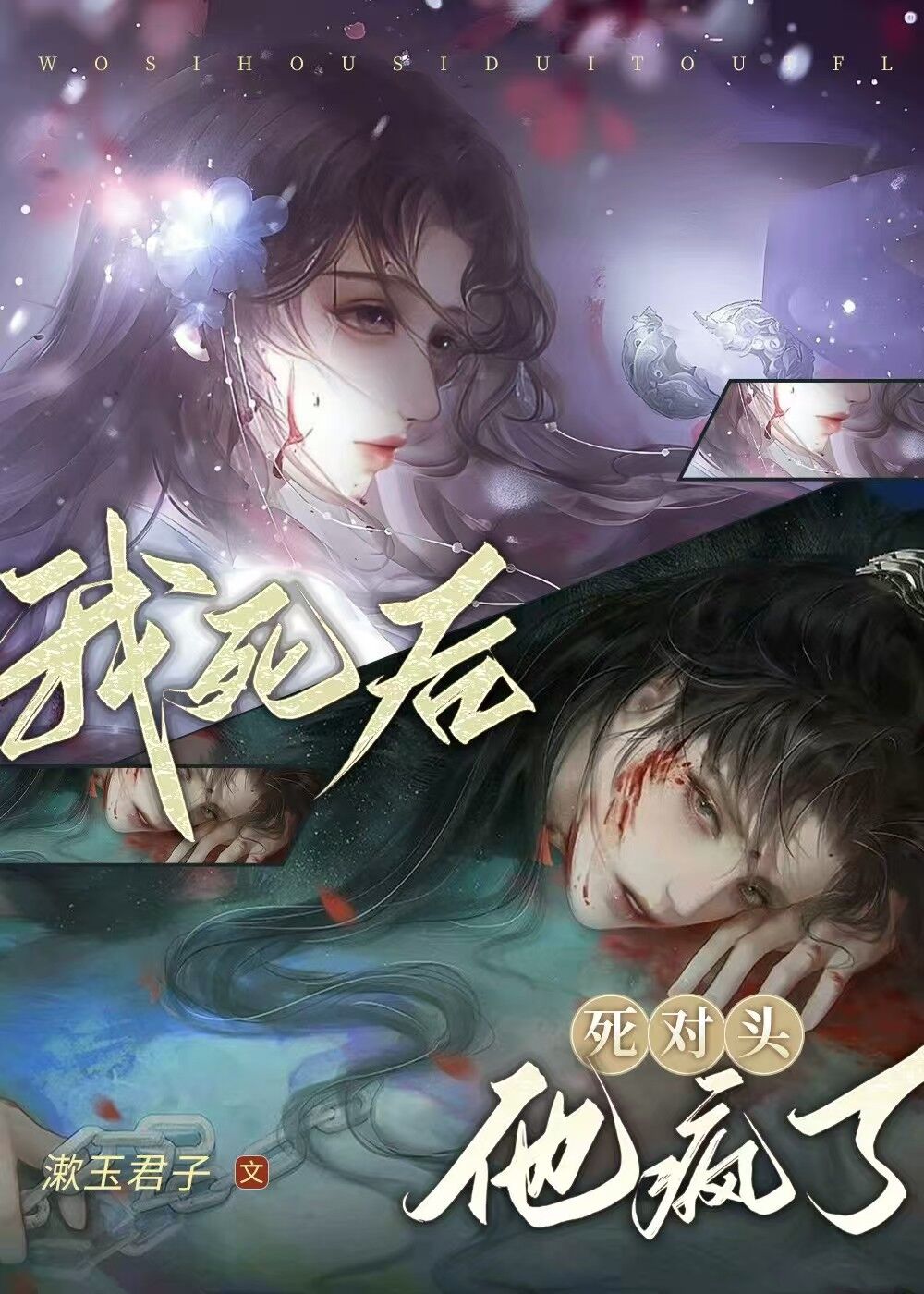 我死后死对头疯了免费阅读