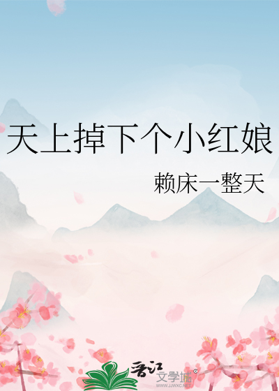 天上掉下个小红娘电视剧