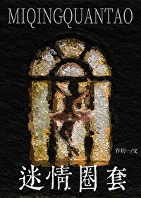 迷情记免费阅读