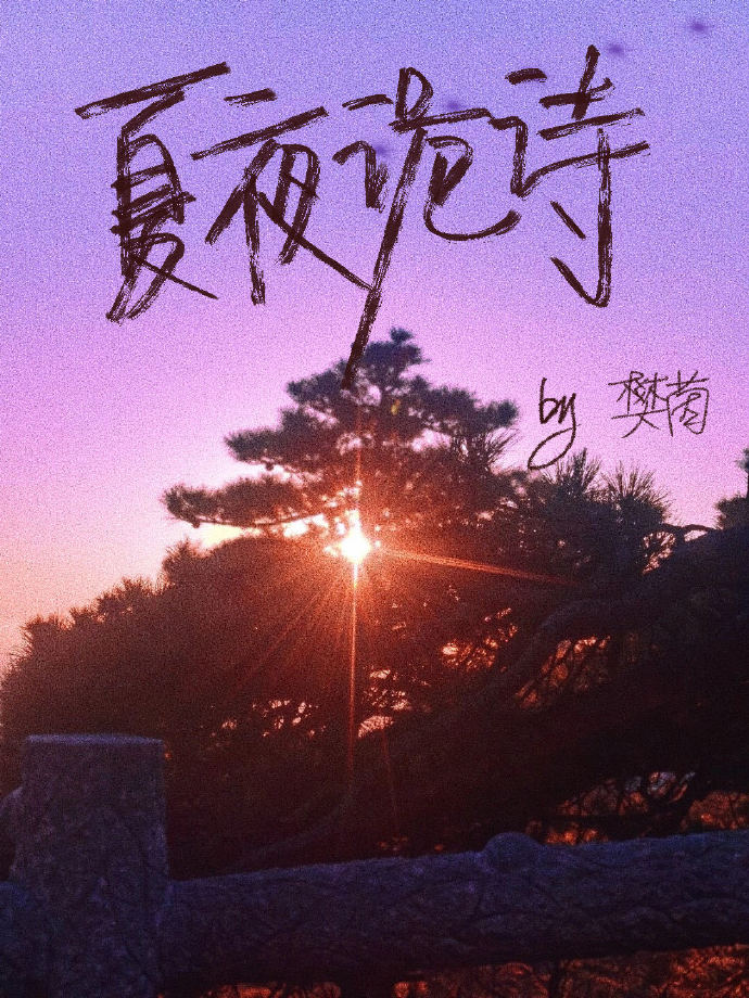 《夏夜》阅读及答案