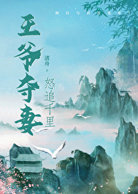 王爷抢占王妃