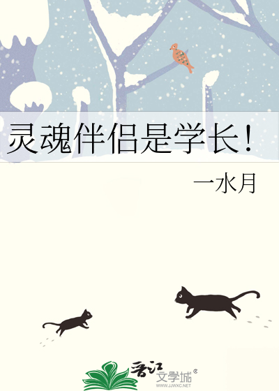 灵魂 伴侣