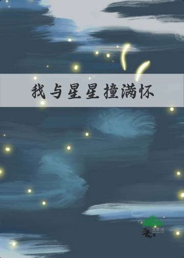 星星满怀小说