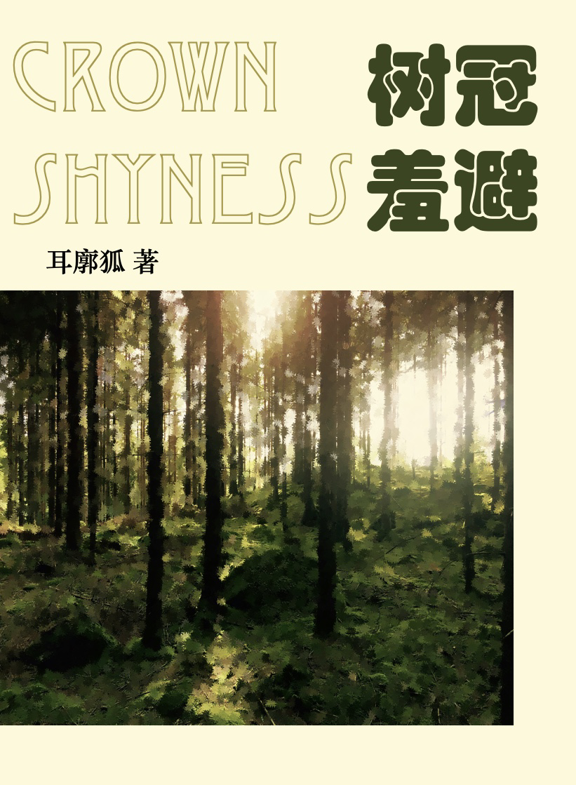 树冠羞避是什么意思