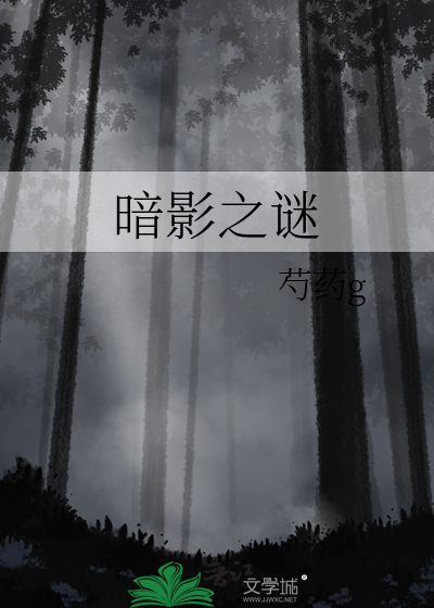暗影之谜破解版