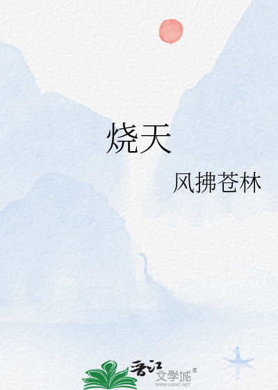 烧天然气的壁挂炉多少钱一台