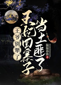 王爷别跑