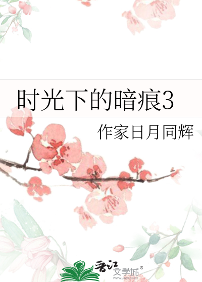 时光的印记小说