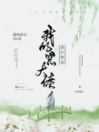 我的黑大佬是白莲花小说