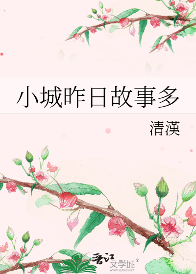 二胡小城的故事