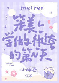 笨蛋美人不会再爱了全文免费阅读