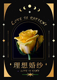 理想结婚