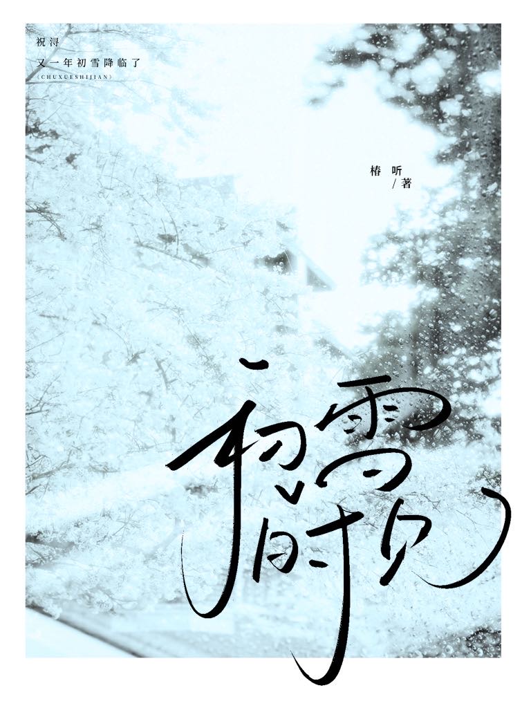 初雪时见你小说百度网盘下载
