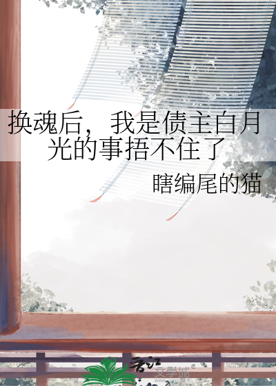 小说 换魂
