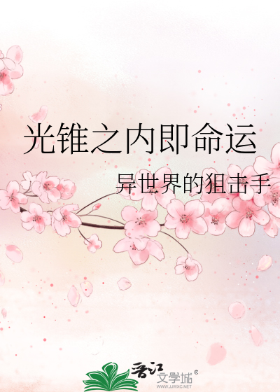 光锥之内即命运是啥意思