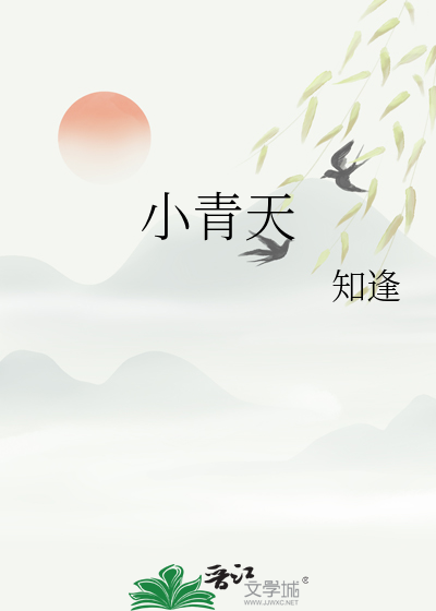 小青天司徒公真人版电视剧叫什么