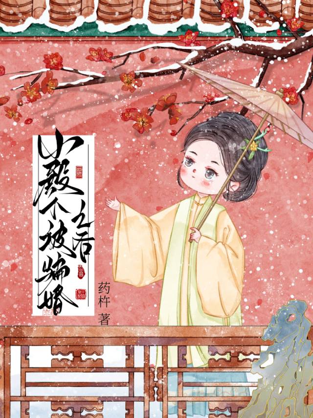 小殿下又开挂了 小说
