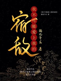 我不可能爱上你小说