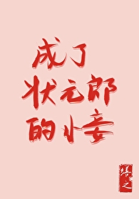 成了状元郎的小妾 作者:司一九