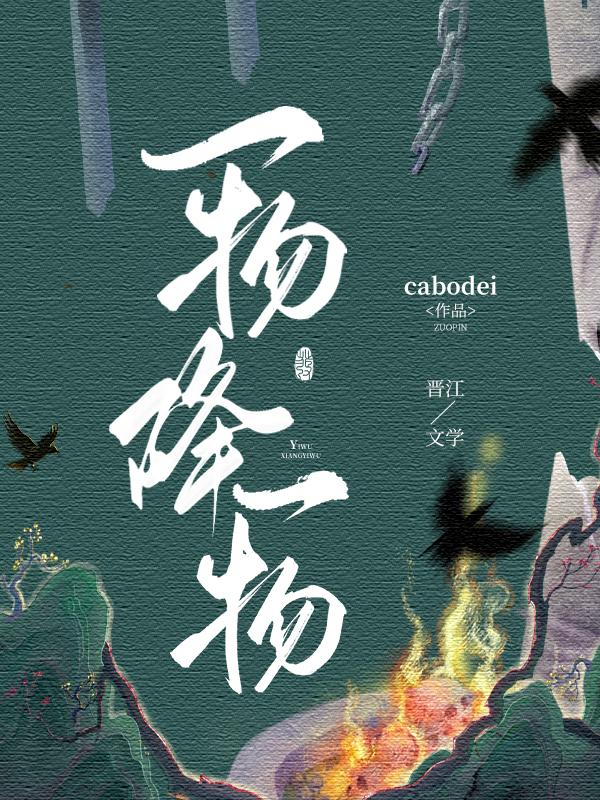 一物降一物完整版
