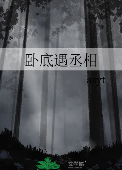 小说 卧底