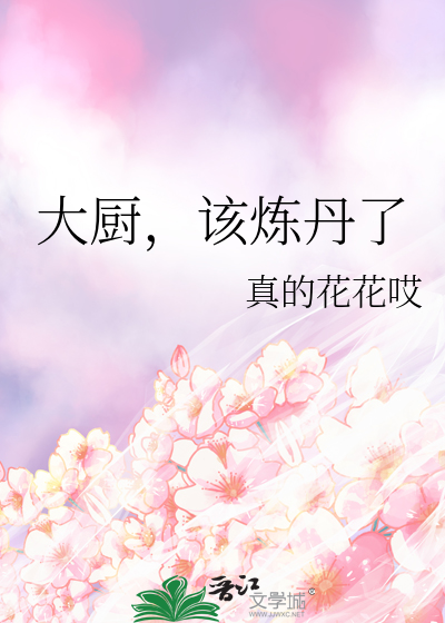 大厨的勺 小说