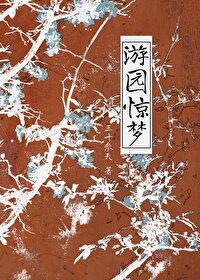 长嫂当家全文免费阅读