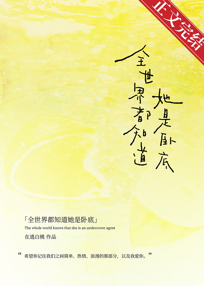 小说 沈总今天追妻成功了吗