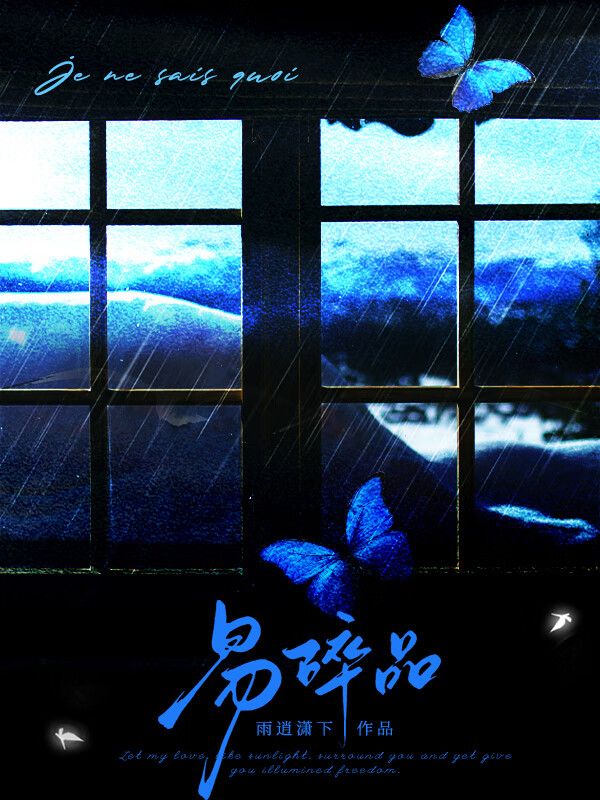 海上飞鸟图片