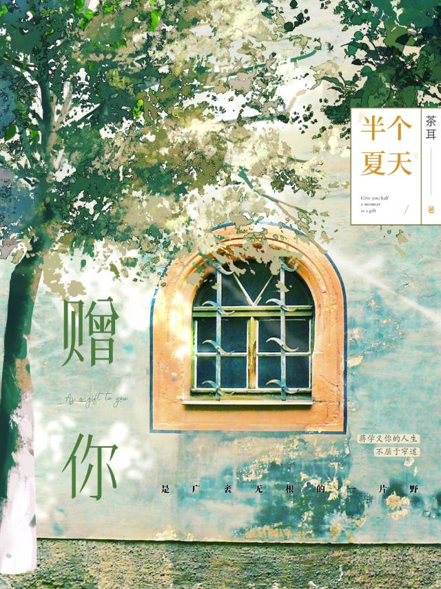 胤禛胤禟 小说